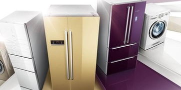 警惕消費隱患 去年進口家電不合格率近三成，選購與使用指南