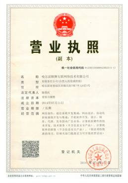哈爾濱小程序開發、網站建設與網絡推廣全攻略 數字時代的企業引擎